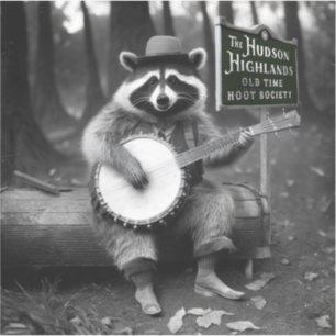 Banjo Raccoon