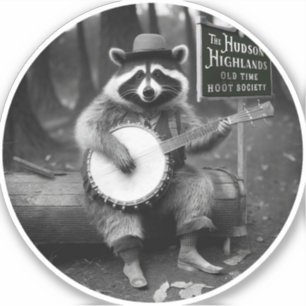 Banjo Racoon