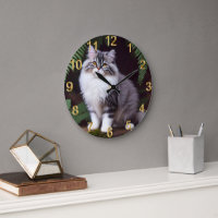 Banjo The Fluffy Gray And White Persian 