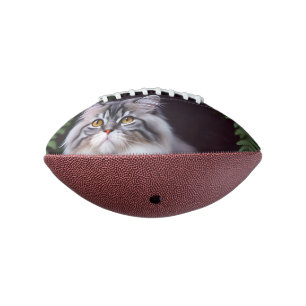 Banjo The Fluffy Grey And White Persian,  American Football