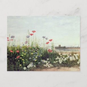 Bank of Summer Flowers Postcard