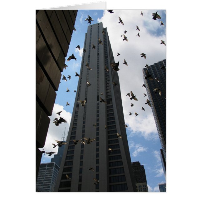 Bank One Plaza Escape (Front)