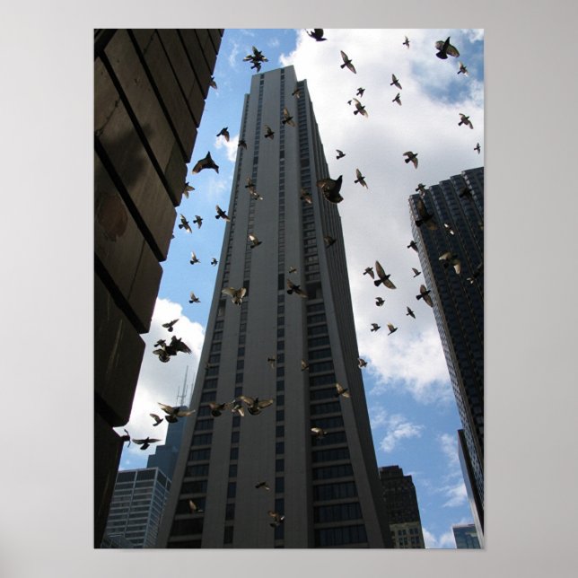 Bank One Plaza vs. Pigeon Escape  Poster (Front)