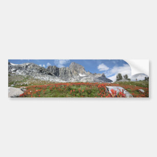 Banner Peak Wildflowers - Ansel Adams Wilderness Bumper Sticker