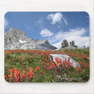 Banner Peak Wildflowers - Ansel Adams Wilderness Mouse Mat