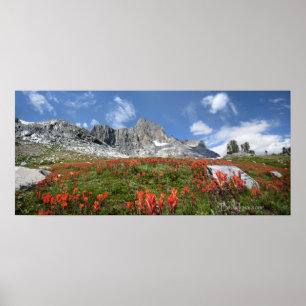 Banner Peak Wildflowers - Ansel Adams Wilderness Poster