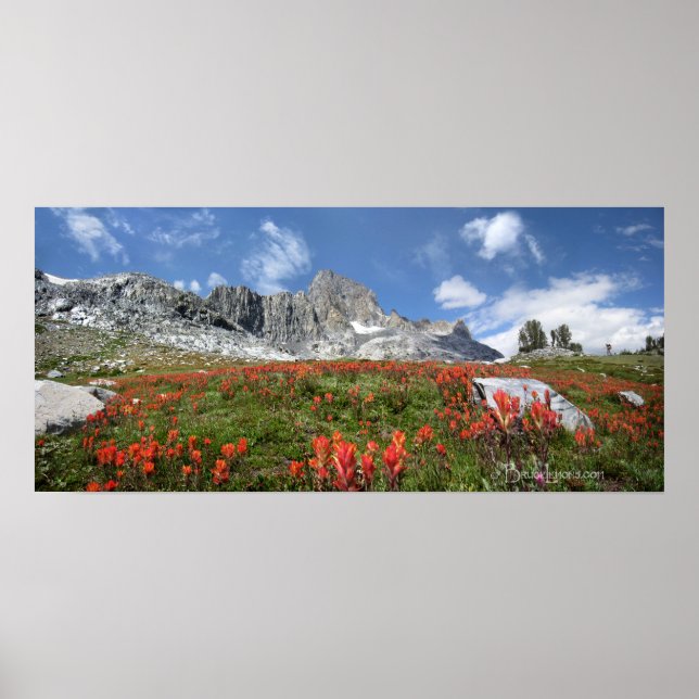 Banner Peak Wildflowers - Ansel Adams Wilderness Poster (Front)