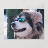 Banshee Postcard
