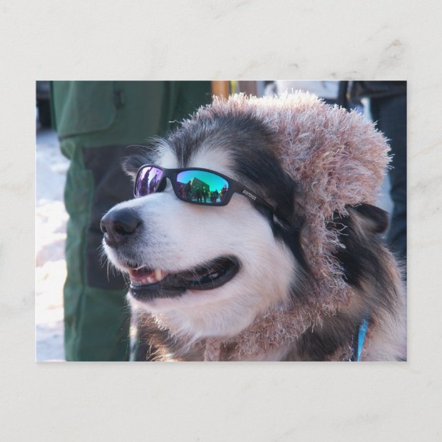 Banshee Postcard (Front)