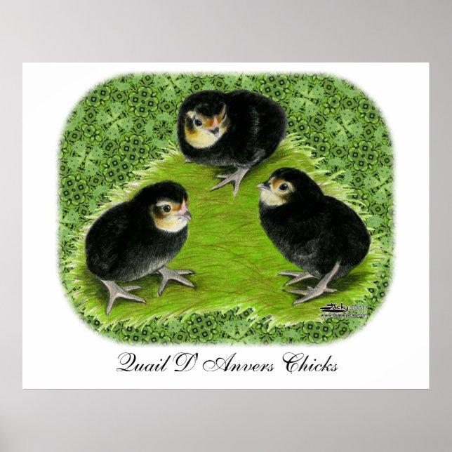 Bantam Chicks in the Garden Poster (Front)