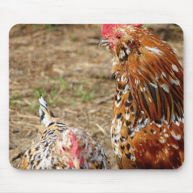 Bantam Hen and Rooster Mouse Mat (Front)