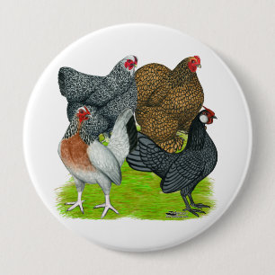Bantam Hen Quartet 10 Cm Round Badge