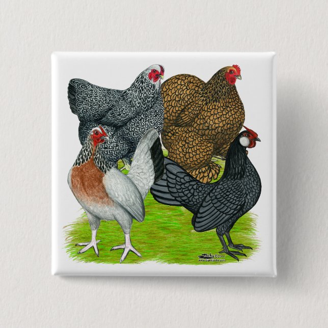 Bantam Hen Quartet 15 Cm Square Badge (Front)