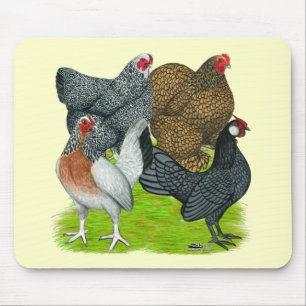 Bantam Hen Quartet Mouse Mat