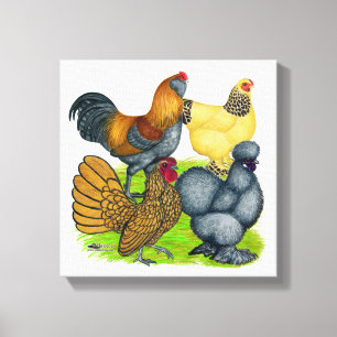 Bantam Quartet Canvas Print