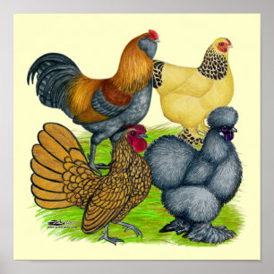 Bantam Quartet Poster