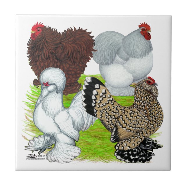 Bantams Feather Legged Tile (Front)