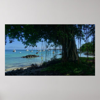 Banyan at the Beach Poster