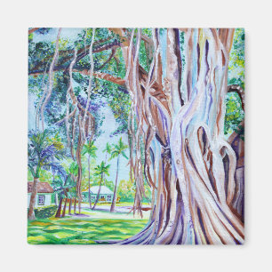 Banyan Tree at Waimea Plantation Cottages  Magnet