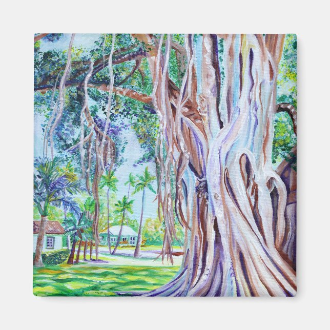 Banyan Tree at Waimea Plantation Cottages  Magnet (Front)