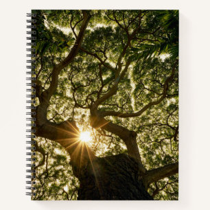 Banyan Tree Canopy Sunstar Notebook