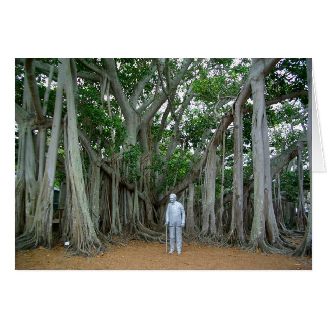 Banyan Tree Edison & Ford Estate Ft Myers Florida (Front Horizontal)