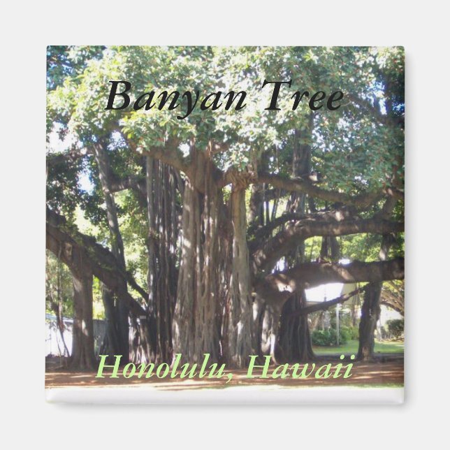 Banyan Tree Magnet (Front)