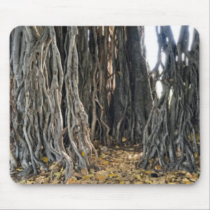 Banyan Tree Mouse Mat