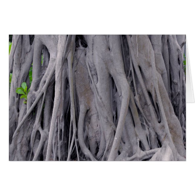 Banyan Tree Trunk (Front Horizontal)