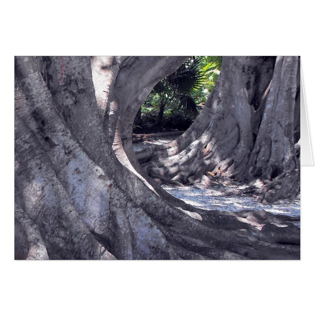 Banyan Trees (Front Horizontal)