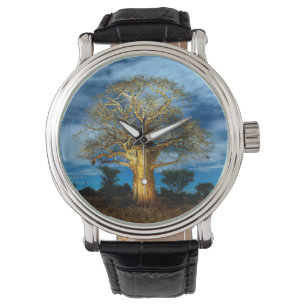 Baobab (Adansonia) Tree Light Up By The Moon Watch
