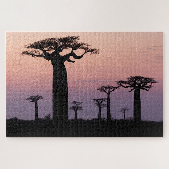 Baobab Alley', Madagascar, Morondava, Africa, Jigsaw Puzzle (Horizontal)