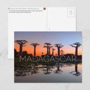 Baobab Alley, Madagascar Travel Postcard