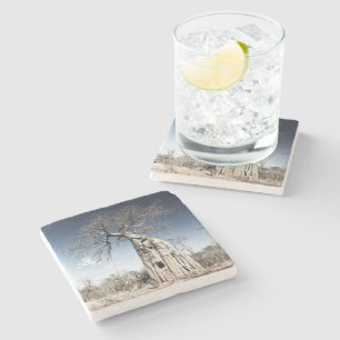 Baobab Tree at Mana Pools National Park photo Stone Coaster