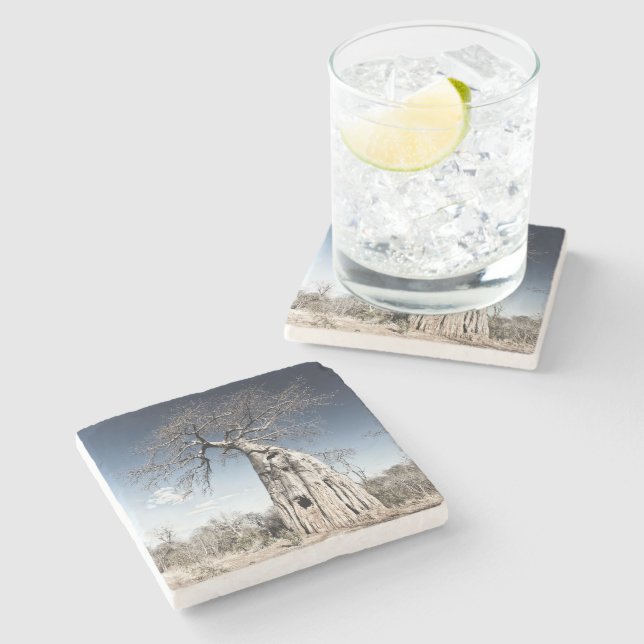 Baobab Tree at Mana Pools National Park photo Stone Coaster (Side)