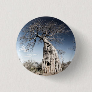 Baobab Tree at Mana Pools National Park, Zimbabwe 3 Cm Round Badge