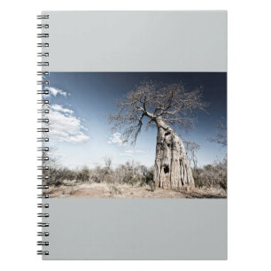 Baobab Tree at Mana Pools National Park, Zimbabwe Notebook