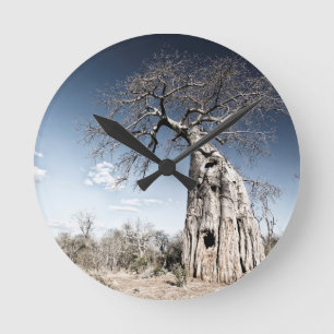 Baobab Tree at Mana Pools National Park, Zimbabwe Round Clock