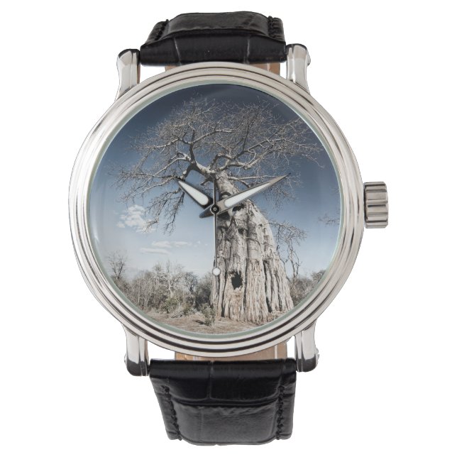 Baobab Tree at Mana Pools National Park, Zimbabwe Watch (Front)