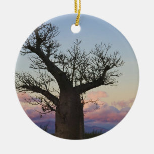 Baobab trees, Berenty, Toliara, Madagascar Ceramic Tree Decoration