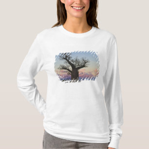Baobab trees, Berenty, Toliara, Madagascar T-Shirt