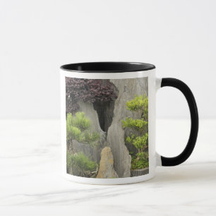 Bao's family garden, Huangshan, China. 2 Mug