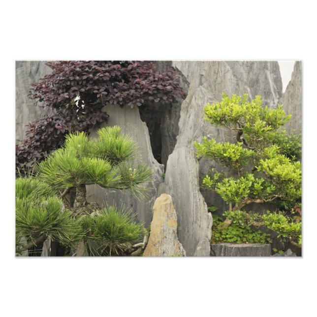 Bao's family garden, Huangshan, China. 2 Photo Print (Front)