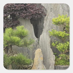 Bao's family garden, Huangshan, China. 2 Square Sticker