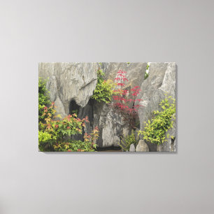 Bao's family garden, Huangshan, China. Canvas Print