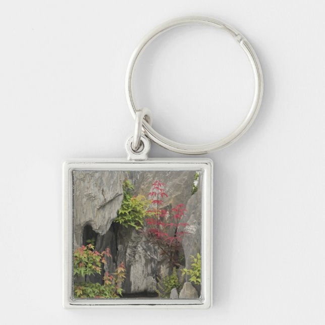Bao's family garden, Huangshan, China. Key Ring (Front)