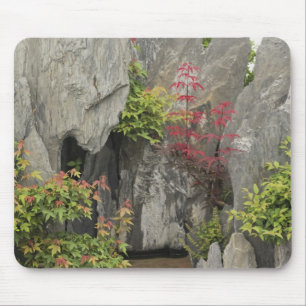 Bao's family garden, Huangshan, China. Mouse Mat