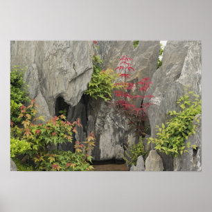 Bao's family garden, Huangshan, China. Poster