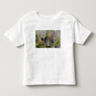 Bao's family garden, Huangshan, China. Toddler T-Shirt