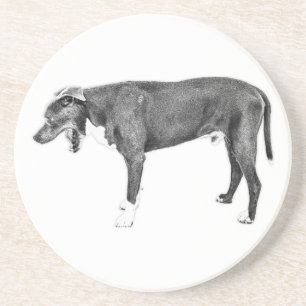 Bar Cart Mood: The Gentle Yawn Coaster